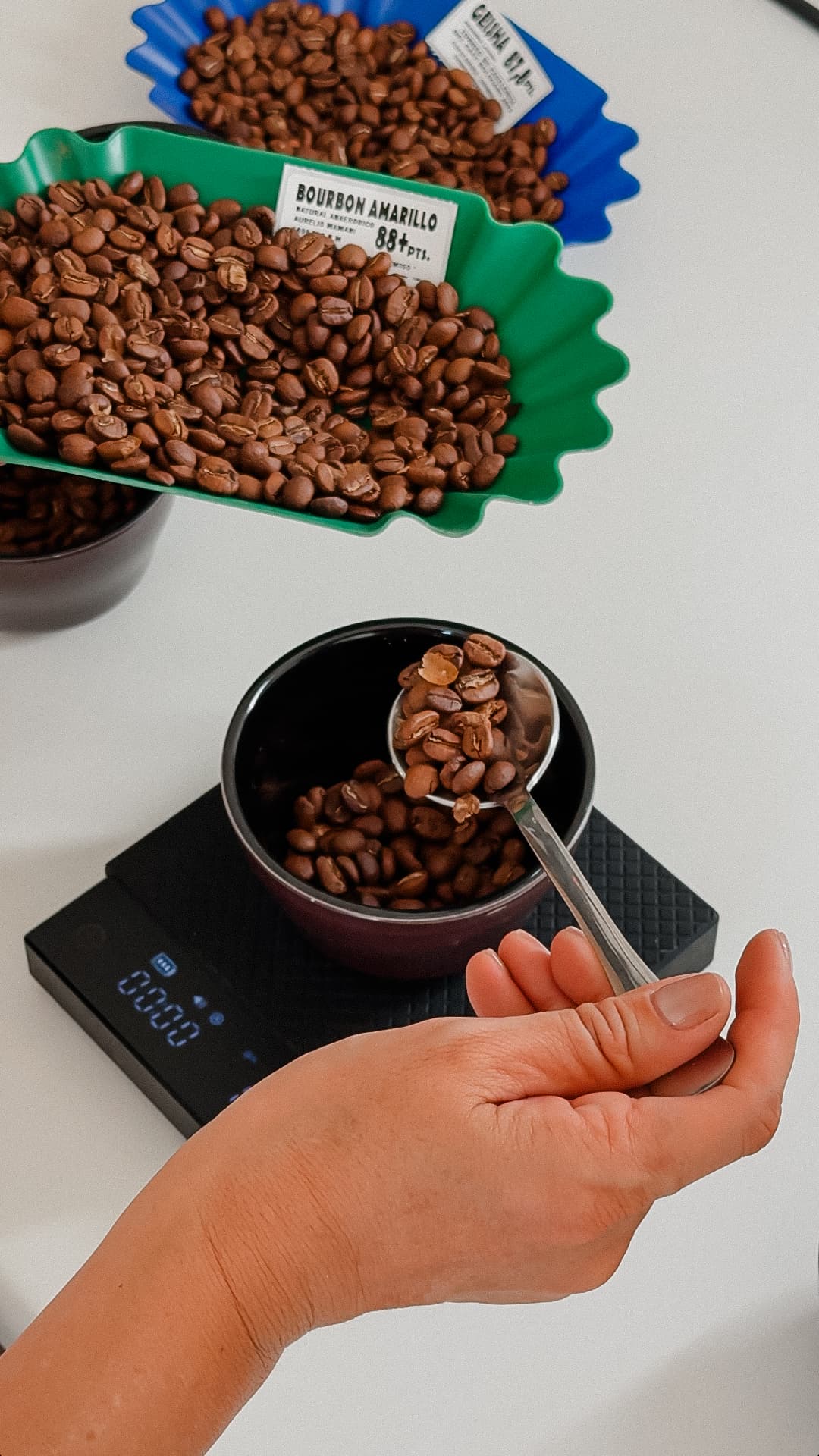 Mano pesando granos de café tostados con una cuchara en un cuenco sobre báscula digital.