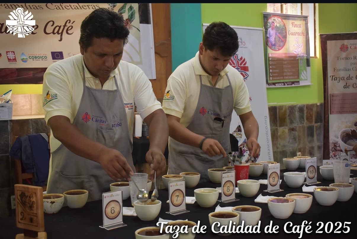 Dos catadores evalúan muestras de café en tazas blancas durante un concurso de calidad.
